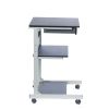 Techni Mobile Rolling Laptop Cart with Storage; Graphite