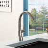 Single Handle High Arc Brushed Nickel Pull Out Kitchen Faucet; Stainless Steel Kitchen Sink Faucets with Pull Down Sprayer