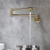 Wall Mount Kitchen Stove Faucet