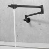 Wall Mount Kitchen Stove Faucet