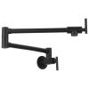 Wall Mount Kitchen Stove Faucet