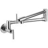 Wall Mount Kitchen Stove Faucet